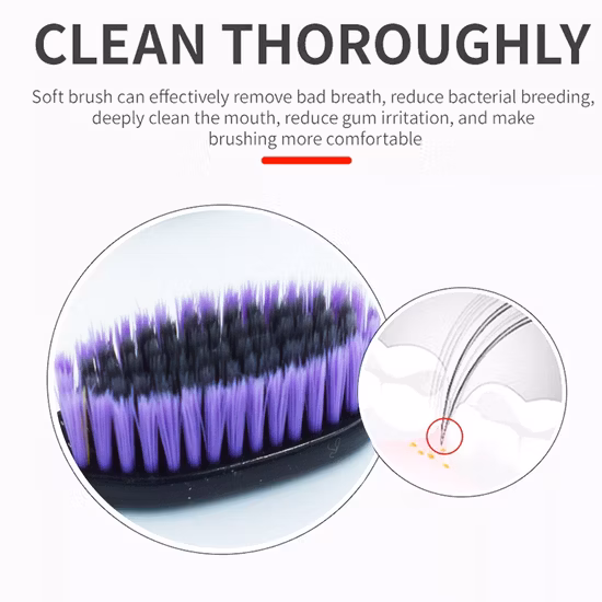 Kit dentale per la pulizia personale OEM Articoli per la casa Spazzolino per adulti